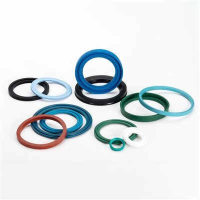 Sanitary Gaskets